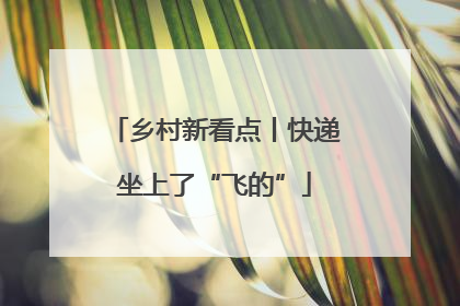 乡村新看点丨快递坐上了“飞的”