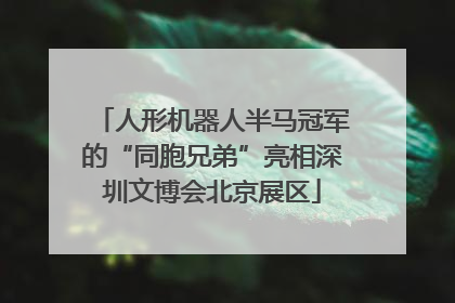 人形机器人半马冠军的“同胞兄弟”亮相深圳文博会北京展区