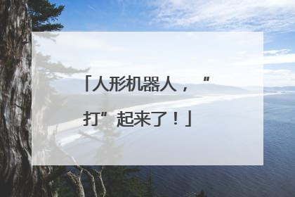 人形机器人，“打”起来了！