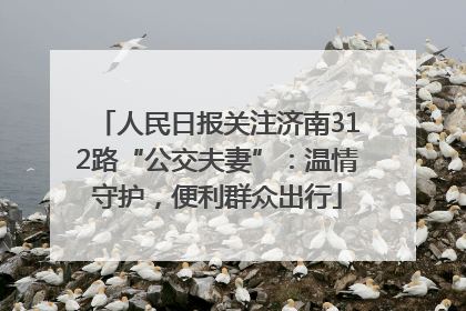 人民日报关注济南312路“公交夫妻”：温情守护，便利群众出行