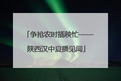 争抢农时插秧忙——陕西汉中夏播见闻
