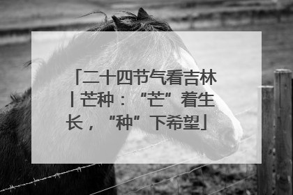 二十四节气看吉林丨芒种：“芒”着生长，“种”下希望