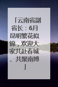 云南省副省长：6月昆明繁花似锦，欢迎大家共赴春城、共聚南博