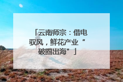 云南师宗：借电驭风，鲜花产业“破圈出海”