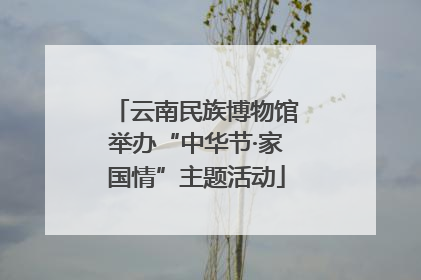 云南民族博物馆举办“中华节·家国情”主题活动