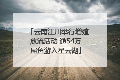 云南江川举行增殖放流活动 逾54万尾鱼游入星云湖