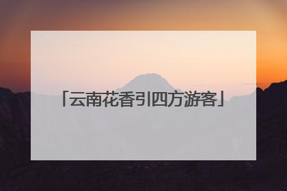 云南花香引四方游客