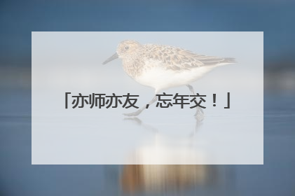 亦师亦友，忘年交！