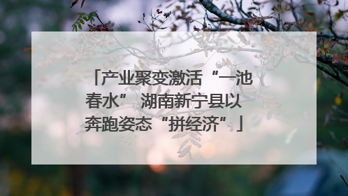 产业聚变激活“一池春水” 湖南新宁县以奔跑姿态“拼经济”