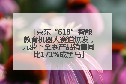 京东“618”智能教育机器人赛道爆发，元萝卜全系产品销售同比171%成黑马
