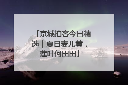 京城拍客今日精选｜夏日麦儿黄，莲叶何田田