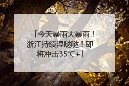 今天暴雨大暴雨！浙江持续湿哒哒！即将冲击35℃+