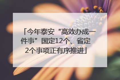 今年泰安“高效办成一件事”国定12个、省定2个事项正有序推进