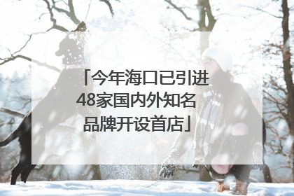 今年海口已引进48家国内外知名品牌开设首店