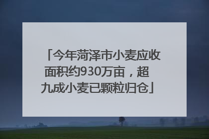 今年菏泽市小麦应收面积约930万亩，超九成小麦已颗粒归仓