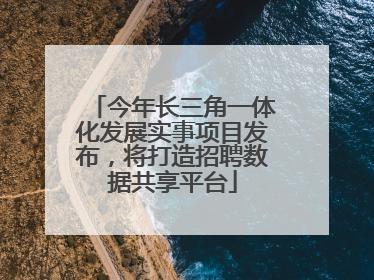 今年长三角一体化发展实事项目发布，将打造招聘数据共享平台