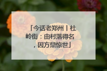 今话老郑州丨杜岭街：由村落得名，因方鼎惊世