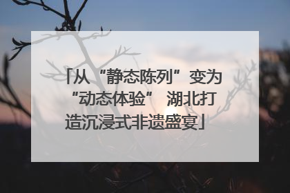 从“静态陈列”变为“动态体验” 湖北打造沉浸式非遗盛宴