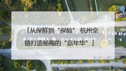 从保鲜到“保险” 杭州全链打造杨梅的“嘉年华”
