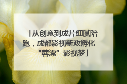 从创意到成片细腻陪跑，成都影视新政孵化“蓉漂”影视梦