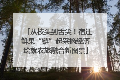 从枝头到舌尖！宿迁鲜果“链”起采摘经济绘就农旅融合新图景