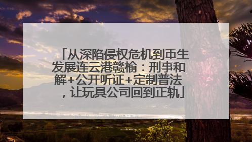 从深陷侵权危机到重生发展连云港赣榆：刑事和解+公开听证+定制普法，让玩具公司回到正轨