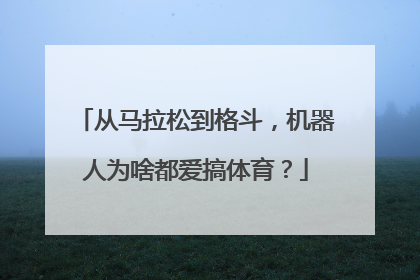 从马拉松到格斗，机器人为啥都爱搞体育？