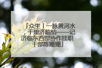 众生丨一脉黄河水，千里济临情——记济临东西部协作挂职干部陈姗姗