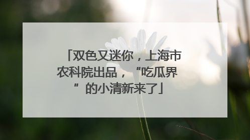 双色又迷你，上海市农科院出品，“吃瓜界”的小清新来了