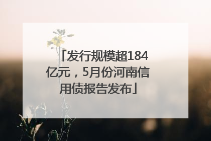 发行规模超184亿元，5月份河南信用债报告发布