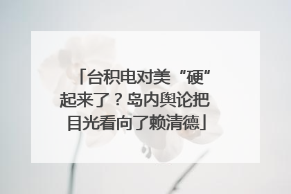 台积电对美“硬”起来了？岛内舆论把目光看向了赖清德