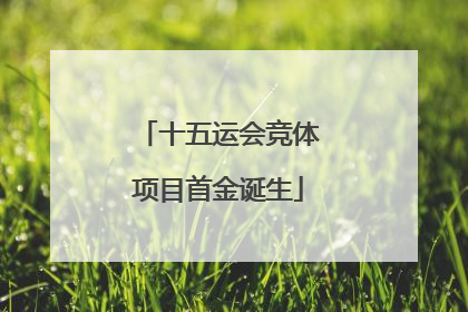 十五运会竞体项目首金诞生