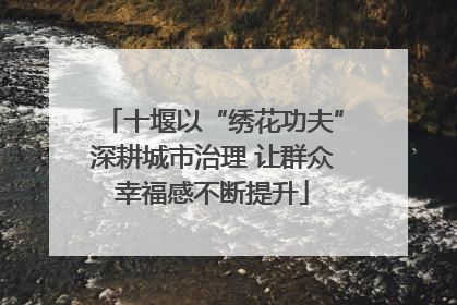 十堰以“绣花功夫”深耕城市治理 让群众幸福感不断提升