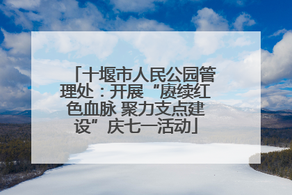 十堰市人民公园管理处：开展“赓续红色血脉 聚力支点建设”庆七一活动