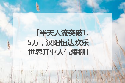 半天人流突破1.5万，汉阳恒达欢乐世界开业人气爆棚