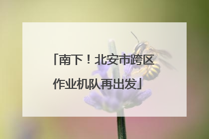 南下！北安市跨区作业机队再出发