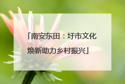 南安东田：圩市文化焕新助力乡村振兴