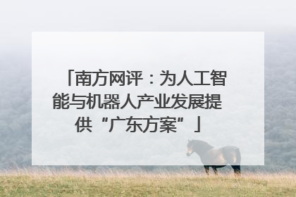 南方网评：为人工智能与机器人产业发展提供“广东方案”