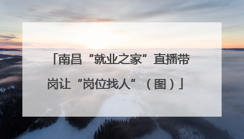 南昌“就业之家”直播带岗让“岗位找人”（图）