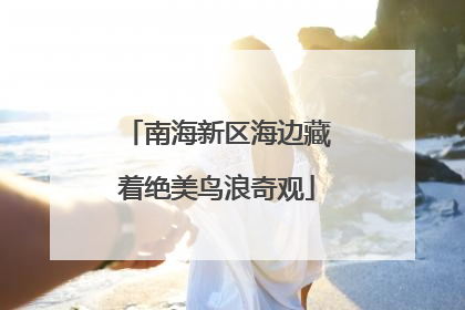 南海新区海边藏着绝美鸟浪奇观