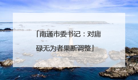 南通市委书记：对庸碌无为者果断调整