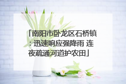南阳市卧龙区石桥镇：迅速响应强降雨 连夜疏通河道护农田