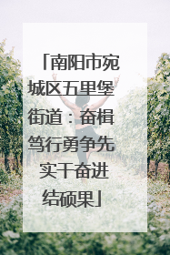 南阳市宛城区五里堡街道：奋楫笃行勇争先 实干奋进结硕果