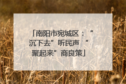 南阳市宛城区：“沉下去”听民声 “聚起来”商良策