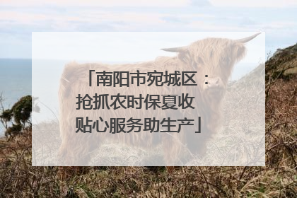 南阳市宛城区：抢抓农时保夏收 贴心服务助生产