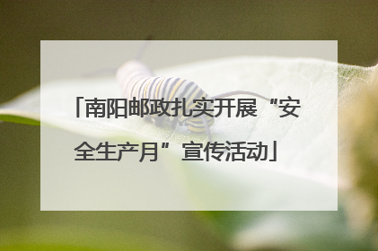 南阳邮政扎实开展“安全生产月”宣传活动