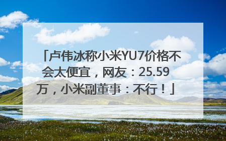 卢伟冰称小米YU7价格不会太便宜，网友：25.59万，小米副董事：不行！
