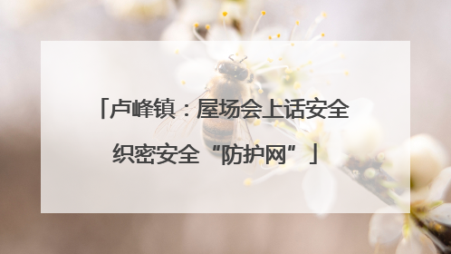 卢峰镇：屋场会上话安全 织密安全“防护网”