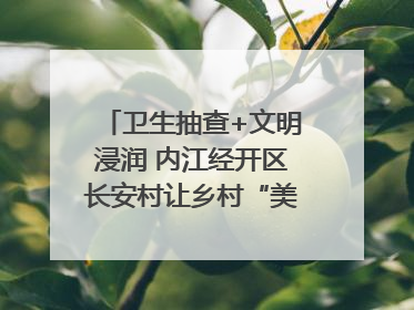 卫生抽查+文明浸润 内江经开区长安村让乡村“美颜”持久在线｜万千气象看四川