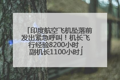 印度航空飞机坠落前发出紧急呼叫！机长飞行经验8200小时，副机长1100小时